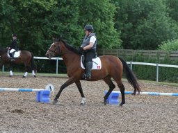 IMG_4784_web